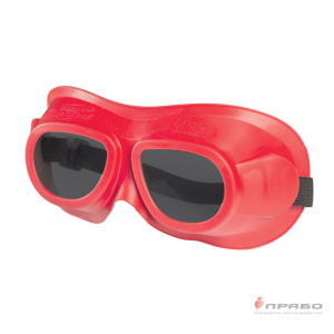 Очки защитные закрытые с непрямой вентиляцией "ЗН18 Driver Riko (6)" арт.21832