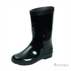 Сапоги женские демисезонные ПВХ "Дюна 260" чёрные (26 см)