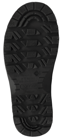 Сапоги ТОБОЛ с КП и КС